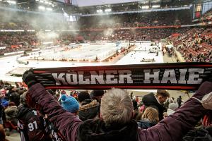 Kurz vor Transferschluss: Haie verpflichten Dougherty