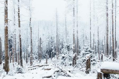 Oberharz