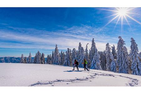 Touren-Tipps Schnebedeckte Landschaft