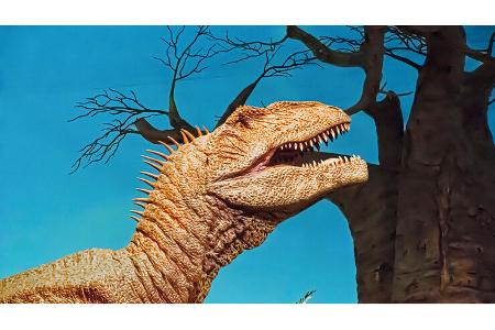 Touren-Tipps Dinosaurier