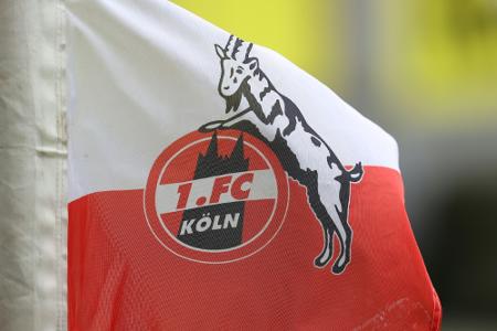 1. FC Köln mit NABU-Logo auf der Trikotbrust 1. FC Köln mit NABU-Logo auf der Trikotbrust