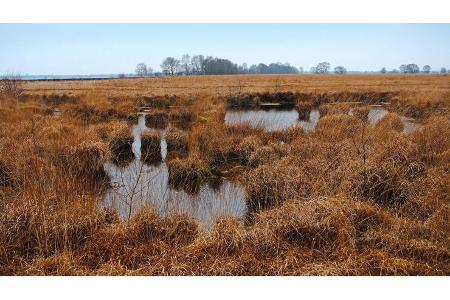 Reise-Tipp Ostfriesland