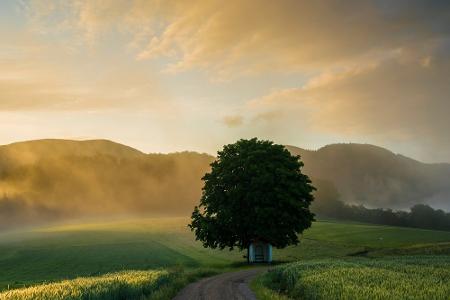 Natur, Dörfer und Kultur: So schön ist der Schwarzwald Natur, Dörfer und Kultur: So schön ist der Schwarzwald