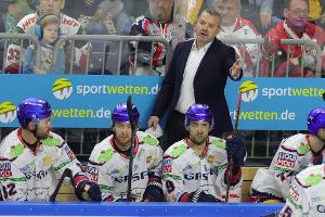 Eisbären verpassen Play-offs, Haie direkt im Viertelfinale