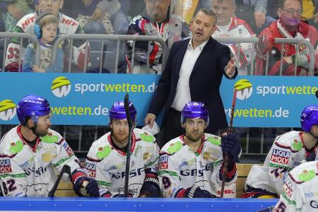 Eisbären verpassen Play-offs, Haie direkt im Viertelfinale Eisbären verpassen Play-offs, Haie direkt im Viertelfinale