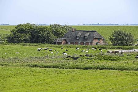 Westerhever