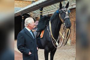 König Charles III. hat ein neues Pferd geschenkt bekommen