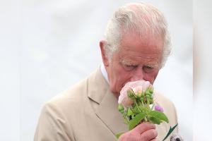 Erste Briefmarken mit König Charles III. sind da
