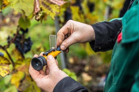 Bio-Weinbauer Helmut Staib