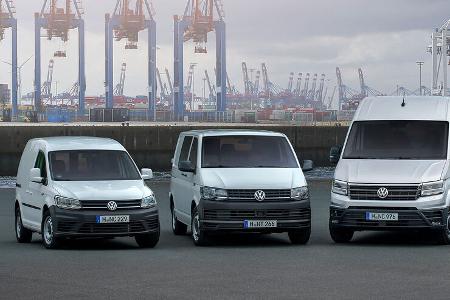 VW Transporter-Familie