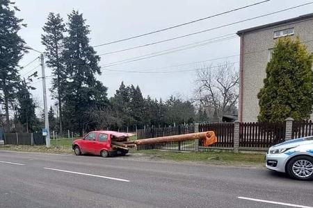 Völlig überladen: 8 Meter Baumstamm im Fiat und Co.