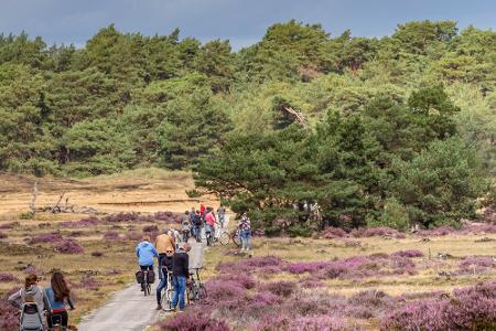 De Hoge Veluwe