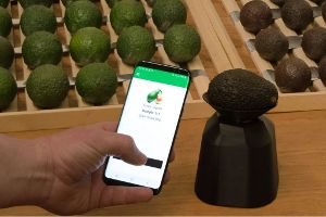 Neuer Scanner kann Haltbarkeit von Lebensmitteln vorhersagen