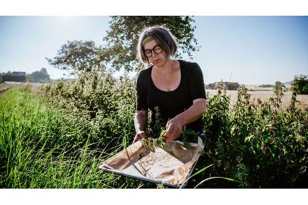 Landvergnügen - Bolds-Schnapsideen
