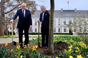 König Charles pflanzt Baum zu Ehren der Queen in Berlin