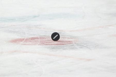 DEL: Neun Spieler verlassen die Straubing Tigers