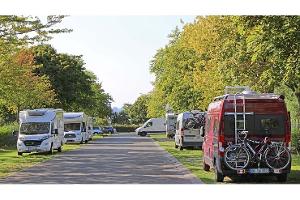Gehen 2023 alle campen?