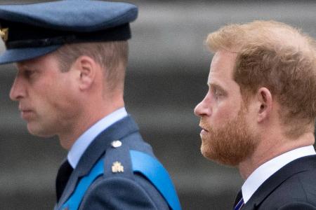 Prinz Harry und Prinz William: Versöhnung ausgeschlossen?