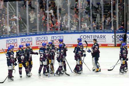 DEL: Eisbären verpflichten Nationalstürmer Eder DEL: Eisbären verpflichten Nationalstürmer Eder