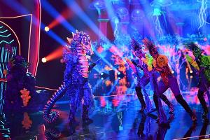 Seepferdchen musste bei "The Masked Singer" die Hüllen fallen lassen