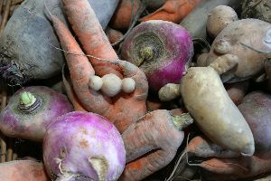EU will neue Regeln für krummes Gemüse