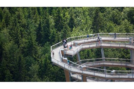 Bad Wildbad, Baumwipfelpfad