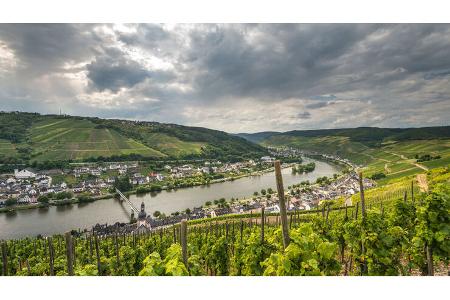 Weinfeste an der Mosel Zell