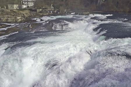 Roadsurfer Rheinfall Schaffhausen