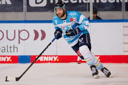 Kölner Haie holen Ingolstadts Topscorer Storm Kölner Haie holen Ingolstadts Topscorer Storm