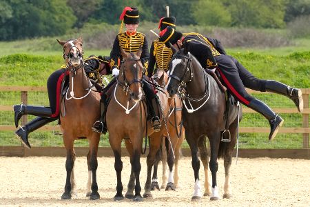 King's Troop