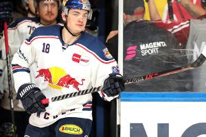 Eishockey: Haie holen Meisterspieler Schütz
