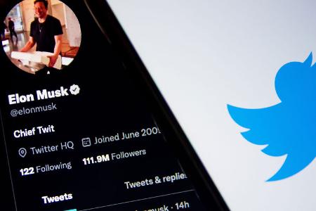 Twitter-Profil Elon Musk mit Waschbecken