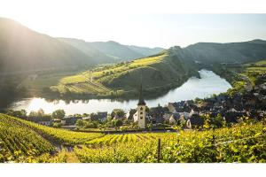 Von Träumen und Seitensprüngen an der Mosel