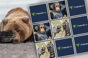 Die lustigsten Tierfotos