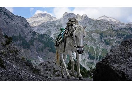 Albanien mit dem Campingbus Pferd f