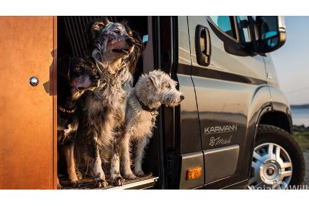 Dog-Camper Reisemobilvermietung