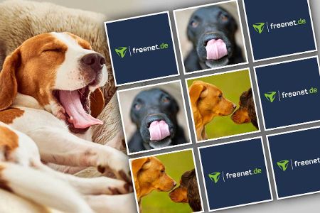 Körpersprache der Hunde