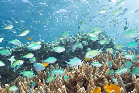 Gili-Inseln (Indonesien)