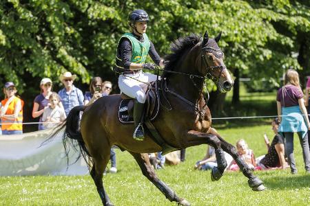 Luhmühlen: Krajewski mit Doppelführung nach Gelanderitt Luhmühlen: Krajewski mit Doppelführung nach Gelanderitt