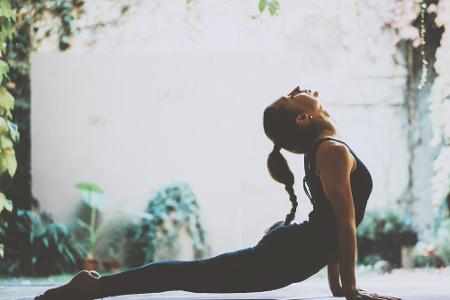 Asana Rebel
