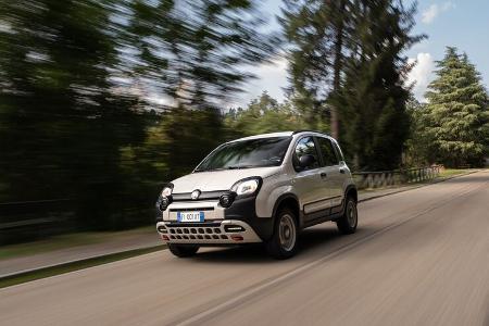 Fiat Panda 4x40 Sondermodell 2023