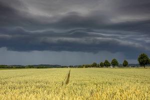 Programmänderung wegen schwerer Gewitterwarnung