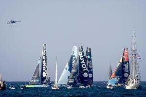 Orcas stoppen zwei Boote beim Ocean Race
