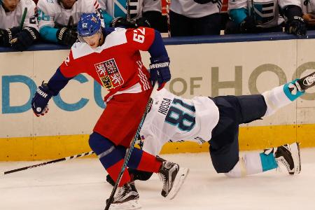 Kölner Haie holen 2,02-m-Verteidiger Sustr
