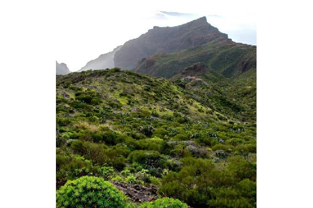 Teneriffa bietet nicht nur angenehme Temperaturen das ganze Jahr über, sondern auch eine atemberaubende Landschaft.