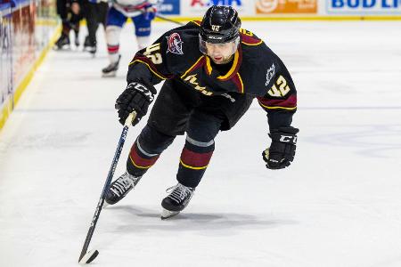 DEL: Straubing holt Kanadier Fonstad