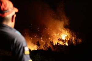 Waldbrände auf Rhodos und Korfu: Das müssen Urlauber jetzt wissen