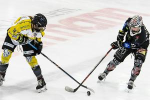 Frauen-Eishockey: Amsterdam in der DFEL dabei