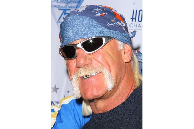 Doch immer wieder kamen Wrestler zu seinen Auftritten, und die Band wurde in der Szene immer beliebter. Schließlich fasste Hulk sich ein Herz und sprach den Manager Oliver Humperdinck an, ob er es nic ...