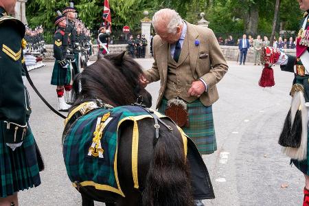 König Charles auf Balmoral: Ein Pony stiehlt ihm zunächst die Show König Charles auf Balmoral: Ein Pony stiehlt ihm zunächst die Show